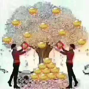 偉業(yè)網(wǎng)帶的錢(qián)樹(shù).jpg